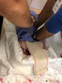 46447580_10217197508872125_5069848875884347392_n